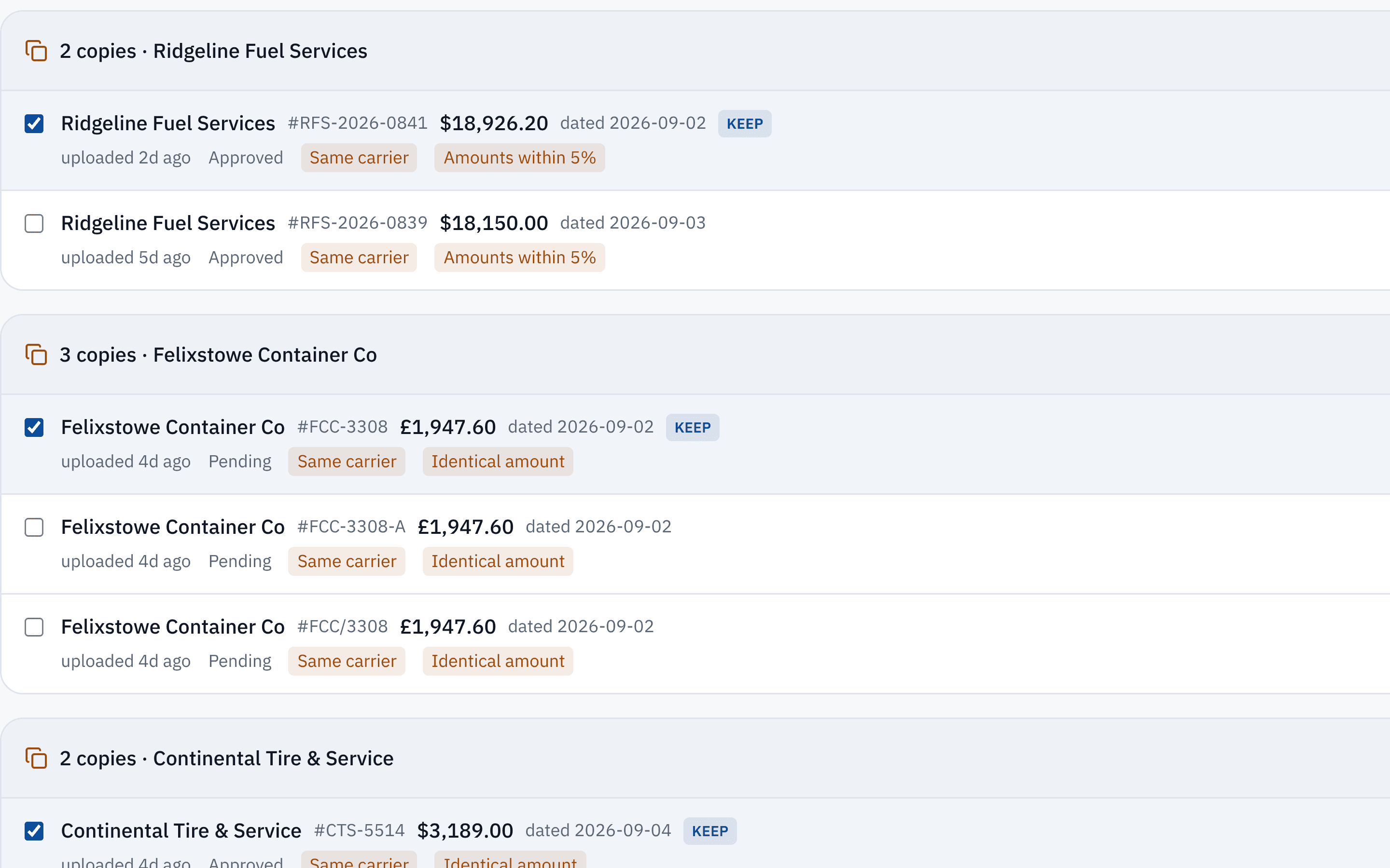 Duplicate invoice groups with match reasons and one copy suggested to keep